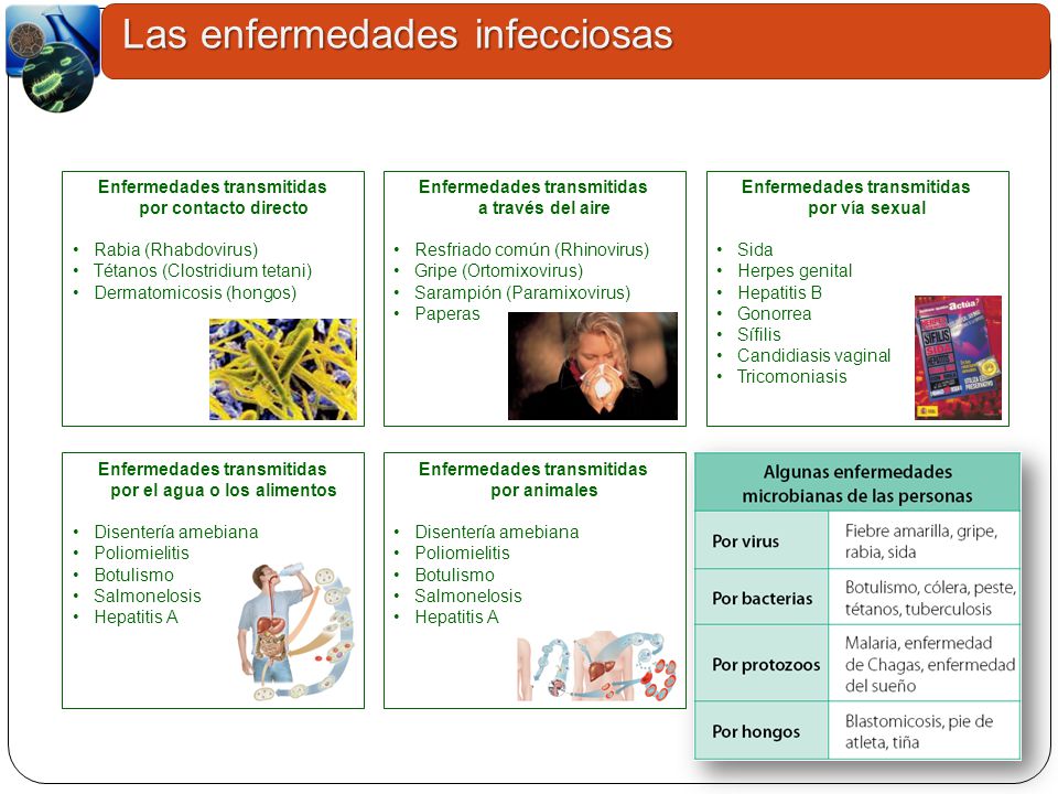 el cólera es una enfermedad transmitida por el aire